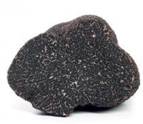 Truffe noire